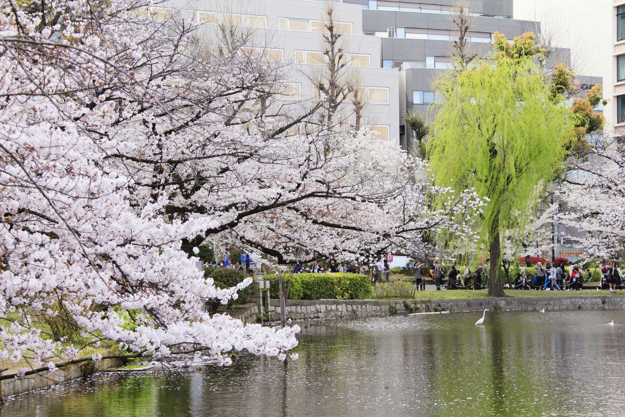 Centurion Hotel&Spa Ueno Station Tokyo Eksteriør billede